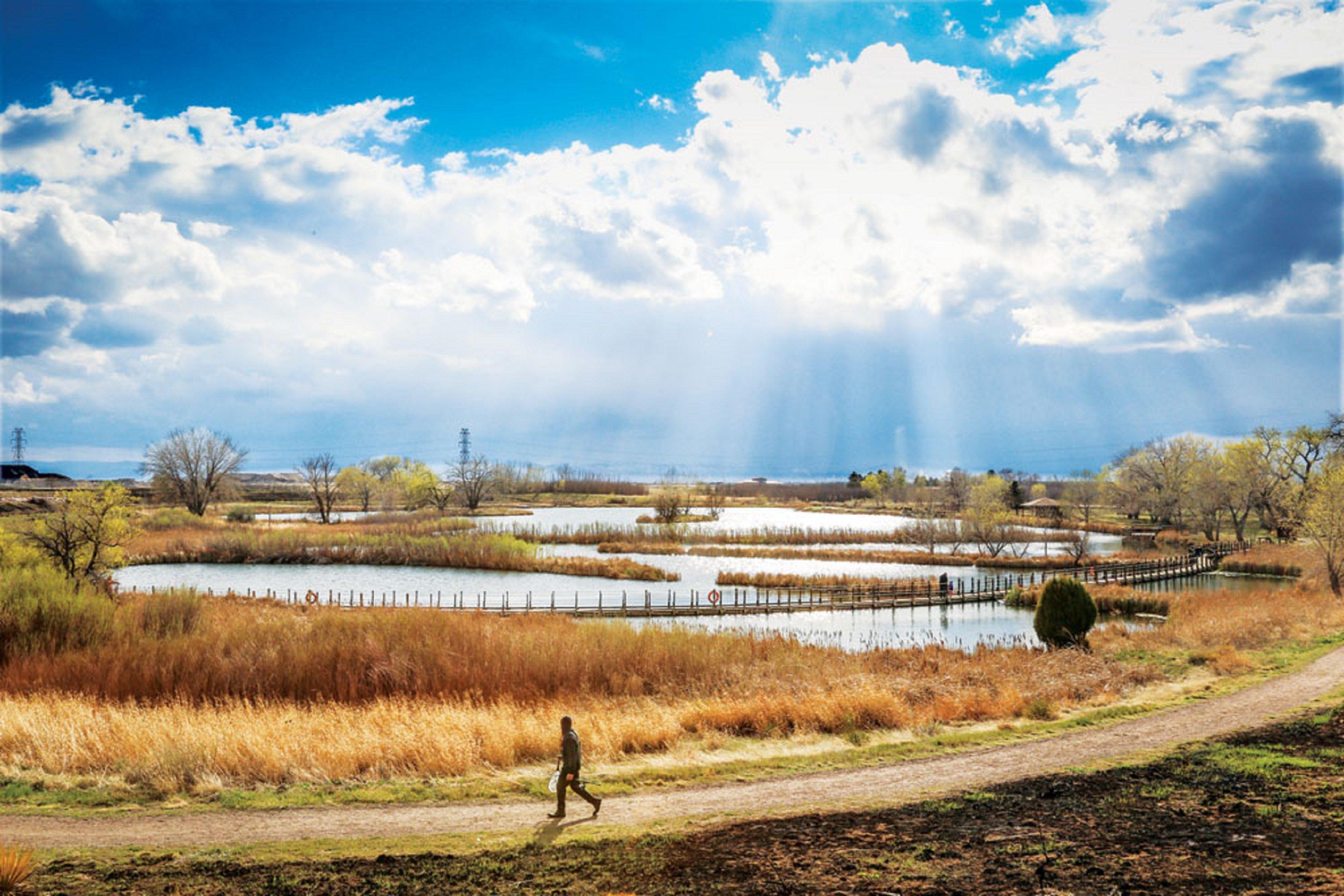 Holiday Inn Denver East By Ihg Buitenkant foto